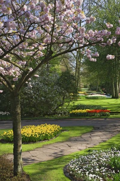 Netherlands, Lisse Garden park in Spring